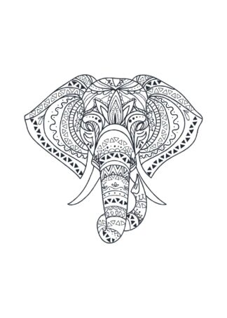 Boho Elephant illustration poster