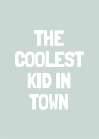 Coolest kid in town poster