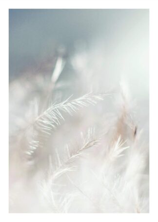 White pastel grass poster