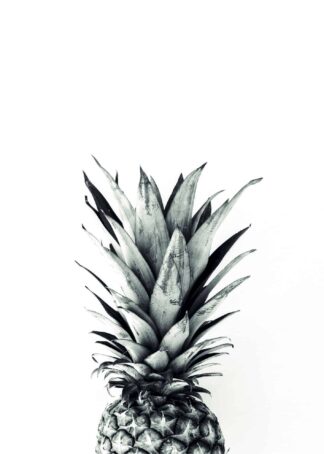 Pineapple black and white poster